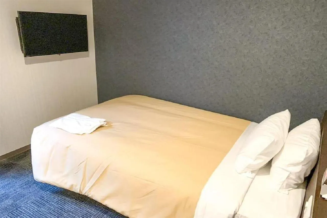 Hotel Livemax Kyoto Nijojonishi
